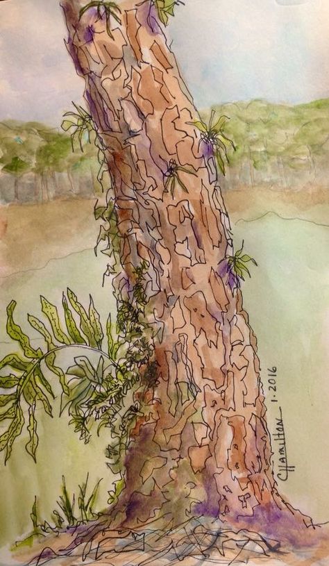 Tree bark Tree Bark Drawing, Bark Drawing, Tree Bark Painting, Elements Of Design Texture, Tree Bark Texture, Goofy Goober, Tree Textures, Tree Drawings Pencil, Texture Drawing