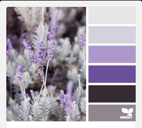 Purple grey white color scheme Bedroom Purple And Gray, Lavender Color Palette, Design Seed, Apartment Color Schemes, Purple Color Schemes, Purple Color Palettes, Grey Color Palette, Purple Design, Design Seeds