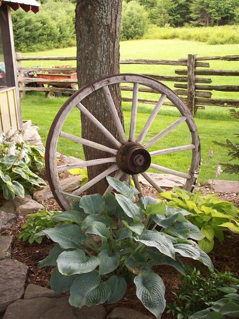 wagon wheel Country Fencing, Driveway Decor, Wagon Wheel Garden, Wagon Garden, Wagon Wheel Decor, Wooden Fences, Front Yard Decor, Wagon Wheels, Old Wagons