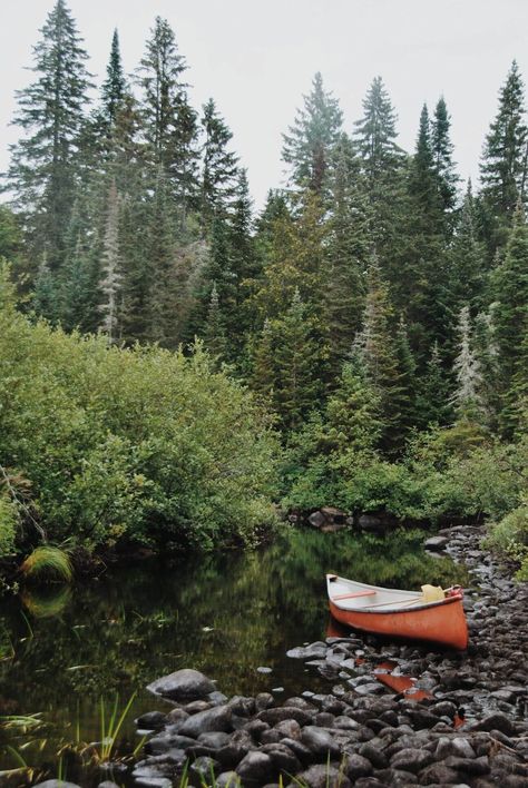 Northern Attitude, Algonquin Provincial Park, Cabin In The Mountains, Crunchy Granola, Adventure Aesthetic, Vacation Days, Life Board, Canoeing, Wisteria