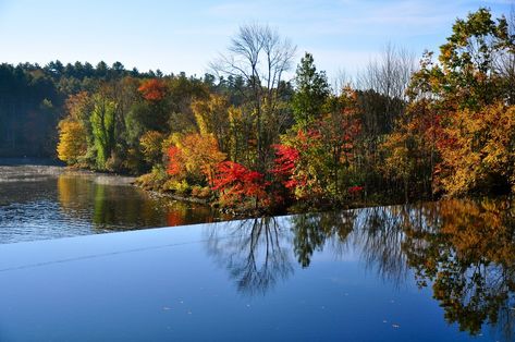 From farm-to-table eats and local breweries to oven-fired pizza and fresh cannoli, here is a list of the ten best restaurants in Dover, New Hampshire. Dover New Hampshire, New Hampshire Food, Places To Eat In New Hampshire, Derry New Hampshire, Must See Places In New Hampshire, Portsmouth New Hampshire Fall, From Farm To Table, Local Brewery, Top Restaurants