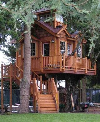 [I will do this someday. Already have the resources and a man who can do just about anything. Yep, it's going to happen.] Adult Tree House, Beautiful Tree Houses, Treehouse Masters, Building A Treehouse, Cool Tree Houses, Tree House Designs, Large Tree, Tree Houses, House Built