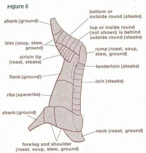 Elk Butcher Chart, Elk Processing, Venison Processing, Deer Butchering, Beef Cuts Chart, Elk Meat, Deer Processing, Elk Recipes, Recipes Pictures