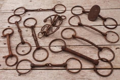 antique vintage horse bits, snaffle bits - rusty old tack for primitive rustic display Horse Projects, Snaffle Bit, Horse Bits, Vintage Horse, First Photo, Antique Vintage, The Whole, Wisconsin, Vision Board