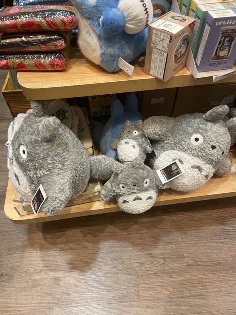 totoro plush Kinokuniya Aesthetic, Spotify Covers, Studio Ghibli