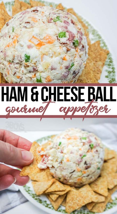 This easy Ham and Cheese Ball Recipe is a delicious and easy-to-make gourmet appetizer that is sure to be a hit at any gathering. Ham And Cheese Balls Recipe, Garlic Cheese Ball Recipes, Homemade Cheese Ball, Ham Appetizers For Party, Ham And Cream Cheese Ball, Ham Cheeseball Recipes, Homemade Cheese Ball Recipes, Easy Cheese Ball Recipe, Ham Cheese Ball Recipes