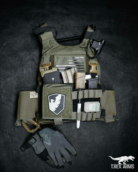 Slickster Plate Carrier, Trex Arms, Plate Carrier Setup, Tactical Gear Storage, T Rex Arms, Tactical Kit, Special Forces Gear, Tactical Wear, Tumblr Page