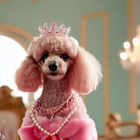 A pink poodle wearing a tiara and a pearl necklace in a mansion - Image Creator from Microsoft Bing A Mansion, Pink Poodle, Create Image, Me When, Logo Inspiration, Bing Images, Black And Gold, Pink Black, Mansion