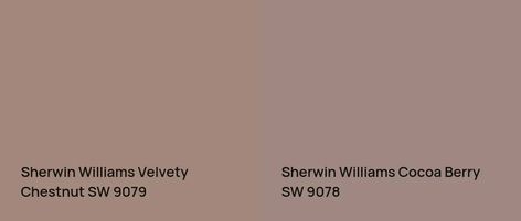 Sherwin Williams Velvety Chestnut SW 9079: 4 real home pictures Velvety Chestnut Paint, Sw Velvety Chestnut, Sherwin Williams Velvety Chestnut, Velvety Chestnut Sherwin Williams, Moody Bedroom, Chestnut Color, Hex Color Codes, Spare Bedroom, Paint Chips