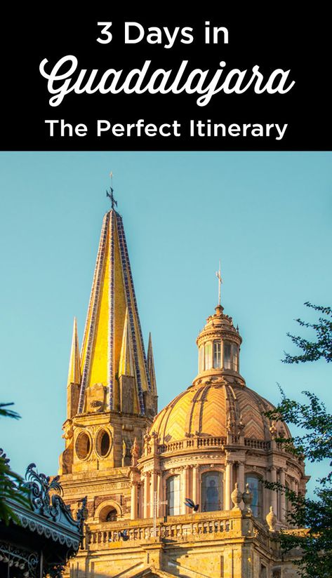 Useful Spanish Phrases, Perfect Itinerary, Mexico City, Unesco World Heritage Site, Heritage Site, Outdoor Pool, Walking Tour, Tour Guide, World Heritage