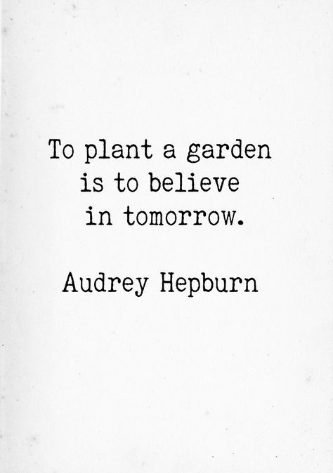 Plant Quotes Life Inspiration Short, To Plant A Garden Is To Believe, Botanical Garden Captions, To Plant A Garden Is To Believe In Tomorrow, To Plant A Garden Is To Believe Quote, Your Mind Is A Garden Quote, Butterfly Garden Quote, Believe Quotes, Garden Plants