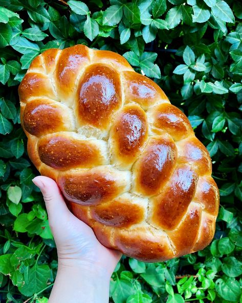 Sourdough Challah, Challah Bread Recipes, Apple Pie Bites, Sourdough Starter Recipe, Bread Art, Challah Bread, Sour Dough, Sourdough Baking, Sourdough Bread Recipe