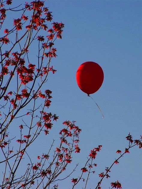 Cherry Character, Vampire Wedding, Iphone Wallpaper Photography, Balloons Photography, Balloon Pictures, Red Balloon, Eternal Sunshine, Cinematic Photography, Red Wallpaper