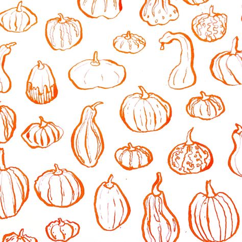 Pumpkins Drawings, Gourd Illustration, Pumpkin Draw, Pumpkins Illustration, Gourds Art, Fall Windows, Visuell Identitet, Pumpkin Drawing, Pumpkin Illustration