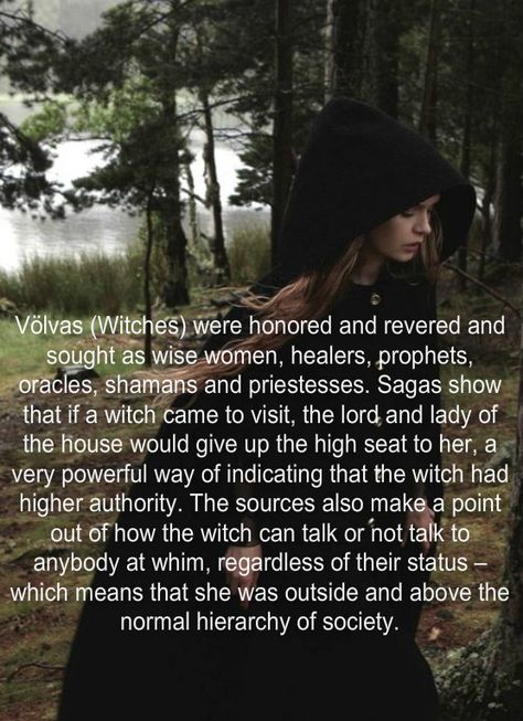 The same could be said for druids. Viking Facts, Baba Jaga, Norse Myth, Norse Pagan, Wicca Witchcraft, The Labyrinth, Norse Vikings, Magical Art, Wise Women