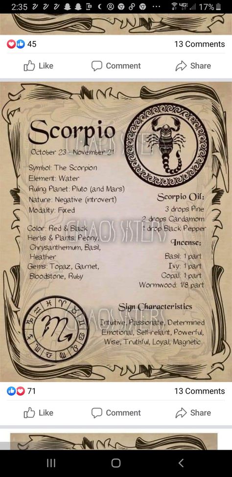 Herbs Of Scorpio, Scorpio Herbs, Herbal Kitchen, Witchy Ideas, Scorpio Symbol, Magickal Herbs, Spell Jars, Candle Magick, Zodiac Collection