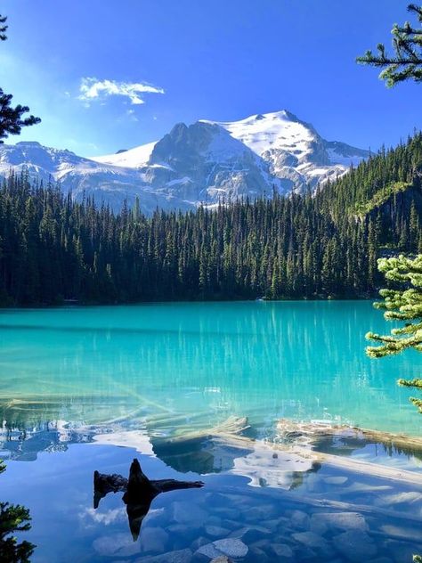 Travel guides Joffre Lakes Canada, Joffre Lakes Provincial Park, Canada Aesthetic Summer, Lake Moraine Canada, Whistler Canada Summer, Canada Scenery, Canada Vibes, Lakes Canada, Canada Forest