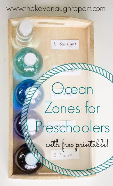 Small sensory bottles are the perfect way to explore the zones of the ocean with preschoolers! These easy DIY bottles with free printable, make this concept concrete and fun for kids of all ages! Ocean Sensory Bottles, Zones Of The Ocean, Ocean Sensory, Ocean Zones, Diy Bottles, Ocean Habitat, Ocean Theme Preschool, Montessori Geography, Ocean Projects