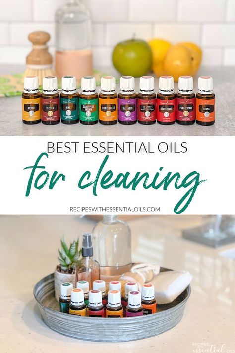 Essential Oils For Floor Cleaning, Essential Oils For Bathroom, Best Essential Oils For Cleaning, Essential Oil For Cleaning, Essential Oils For Cleaning, Essential Oil Cleaning Recipes, Cleaning Basket, Essential Oils For Laundry, Fly Lady