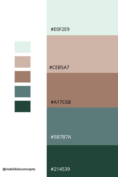 Mint And Brown Living Room, Mint Green Brown Color Palette, Light Green Pallet, Dark Green Beige Bedroom, Light Mint Color Palette, Green Pallete Aesthetic, Color Palette Mint Green, Light Green And Brown Aesthetic, Mint Green Colour Palette