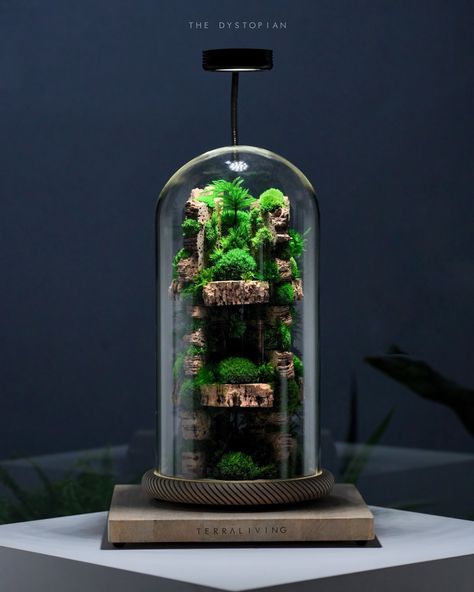 “The Dystopian,” featuring a 3D-printed wood-filled parametric base, is now en route to Santa Monica, CA 🇺🇸. #terraliving #dystopian #moss #mossterrarium #terrarium #dometerrarium #mosszero #preservedmoss #corksculpture #mossart #deskdecor #homedecor Moss Terrarium, Moss Art, Preserved Moss, Desk Decor, Santa Monica, Wood Print, 3d Print, 3d Printed, Terrarium