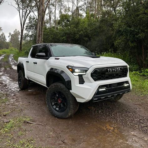 White Tacoma, Trd Pro Tacoma, 2024 Tacoma, Toyota Tundra Lifted, Toyota Trucks 4x4, Toyota Offroad, 2024 Toyota Tacoma, Toyota Pickup 4x4, Toyota Tacoma Trd Sport