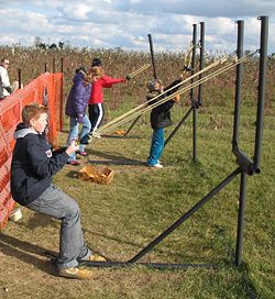 Nauman's Farms, Corn Maze and Pumpkin Patch in St. Clements, Ontario Pumpkin Patch Farm Activities, Goat Obstacles, Farm Obstacle Course, Fall Obstacle Course, Corn Maze Activities, Pumpkin Patch Attractions, Agrotourism Ideas Farms, Corn Maze Ideas, Pumpkin Patch Games