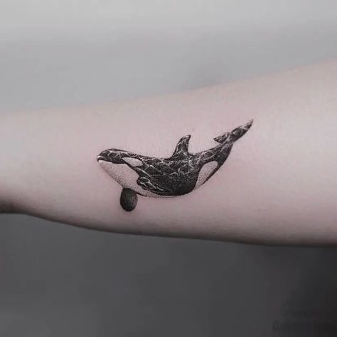 Orca Tattoo Ideas, Seahorse Tattoo Ideas, Whale Tattoo Ideas, Orca Whale Tattoo, Killer Whale Tattoo, Sea Life Tattoos, Orca Tattoo, Seahorse Tattoo, Whale Tattoo