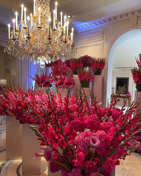 🎀 As today marks the beginning of "Octobre Rose" in France, our lobby has never been so #pink. All month long, the message is clear - hope,… | Instagram George V Paris, Jeff Leatham, Hope Strength, October 1, Home Flowers, Plant Decor, Friday Night, Four Seasons, Lobby