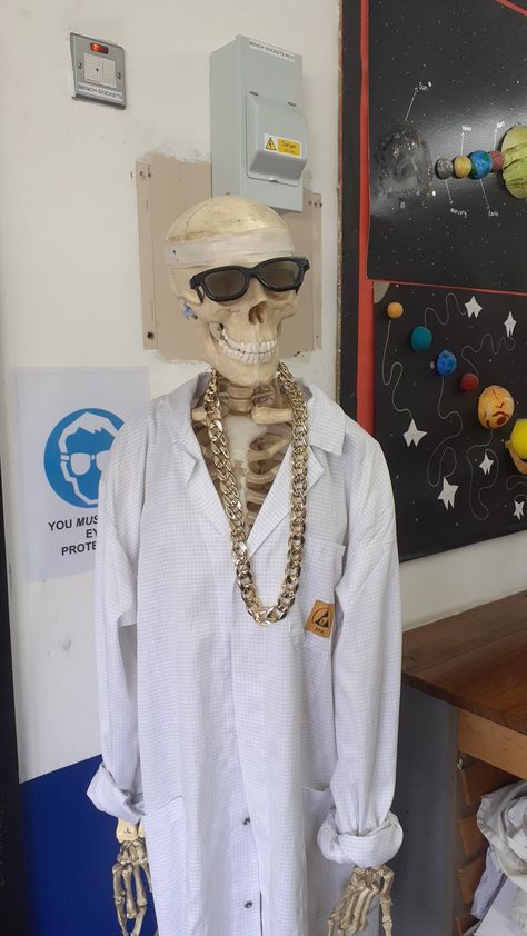 I fuckin love this skeleton in my old Science teacher's classroom. Chemistry Teacher Classroom, High School Science Teacher Aesthetic, Highschool Science Classroom, Classroom Themes High School Science, Black Scientists Aesthetic, Science Room Aesthetic, High School Art Teacher Aesthetic, Cool Teacher Aesthetic, Science Classroom Aesthetic