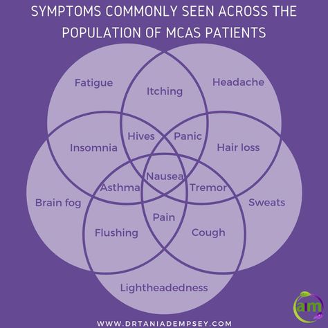 Mcas Symptoms, Mcas Awareness, Mcas Diet, Histamine Intolerance Diet, Histamine Intolerance Symptoms, Elhers Danlos Syndrome, Dysautonomia Pots, Histamine Intolerance, Mast Cell Activation Syndrome