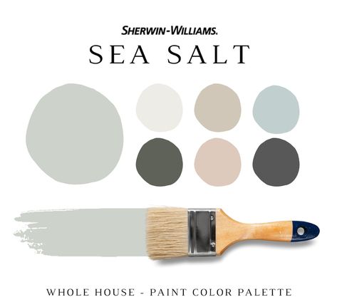 Sherwin Williams SEA SALT Paint Color Palette Interior and - Etsy Sherwin Williams Grey, Paint Sheen Guide, Paint Pallette, Material Color Palette, Sherwin Williams Alabaster, Sherwin Williams Color Palette, Sherwin Williams White, Balanced Beige, Shoji White