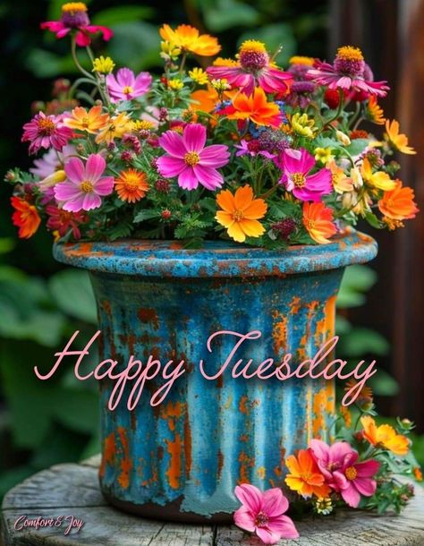 Great Day Quotes, Happy Tuesday Morning, Tuesday Greetings, Hello Tuesday, Good Morning Tuesday, Happy Friday Quotes, Evening Greetings, Good Morning Beautiful Quotes, Good Morning Funny