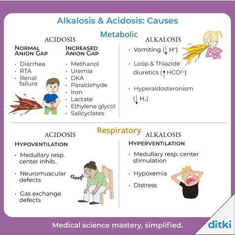 What are the key buffers in the ECF & ICF?   Learn more: https://ditki.com/course/physiology/acid-base/acid-base-balance/1326/alkalosis-and-acidosis  #ditki #usmle #acidosis #alkalosis #pathology #alliedhealth #advancednursing #FNP #medicalscience #physiology #pathophys #aniongap #respiratoryphysio Acidosis And Alkalosis, Anion Gap, Respiratory Acidosis, Health Notes, Metabolic Acidosis, The Respiratory System, Acid Base Balance, Acid Base, Nursing School Tips