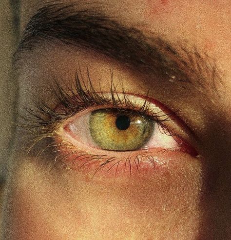 Eye Colours Aesthetic, Green Eye Photography, Aesthetic Eye Colors, Pretty Green Eyes Aesthetic, Hazel Yellow Eyes, Yellow Hazel Eyes, Green Eye Reference, Green Eyes With Gold Flecks, Green Hazel Eyes Aesthetic