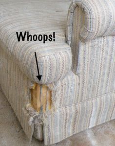 How to keep cats from scratching furniture? Smart behaviorists have answers Kittens Care, Bear Dogs, Cat Scratching Furniture, House Basement, Cat Scratchers, Furniture Scratches, Cat Info, Pet Tips, Fence Posts