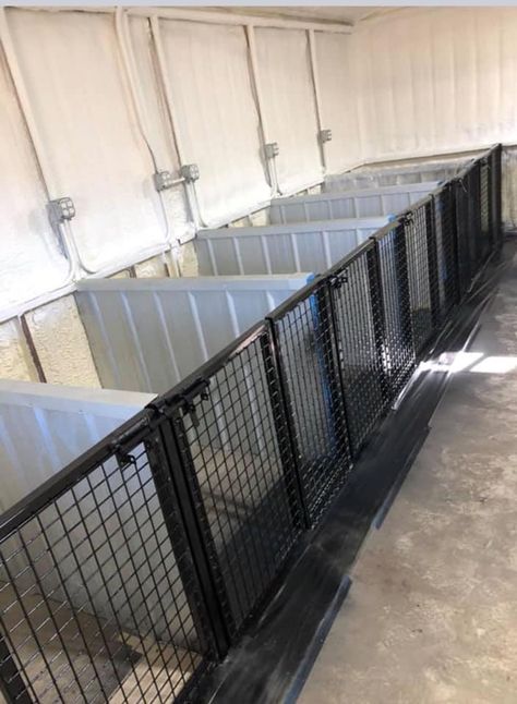 Dog Breeding Kennels Ideas, Dog Room In Garage, Dog Kennel Inside, Dog House Inside, Dog Kennel Ideas, Dog Breeding Kennels, Dog Boarding Ideas, Kennel Diy, Building A Dog Kennel