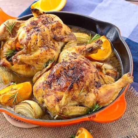 Apple Cider Chicken, Game Hen Recipes, Cider Chicken, Cornish Game Hen Recipes, Cornish Hen Recipe, Chicken With Potatoes, Potatoes And Onions, Cornish Game Hen, Holland House