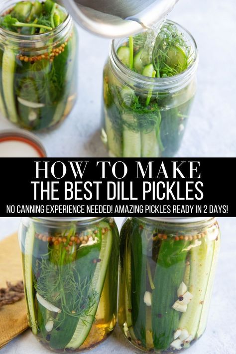 Easy Dill Pickle Recipe, Make Dill Pickles, Pickles Homemade Easy, Easy Dill Pickles, Dill Pickles Recipe, Garlic Vinegar, Refrigerator Dill Pickles, Making Dill Pickles, Pickling Spices