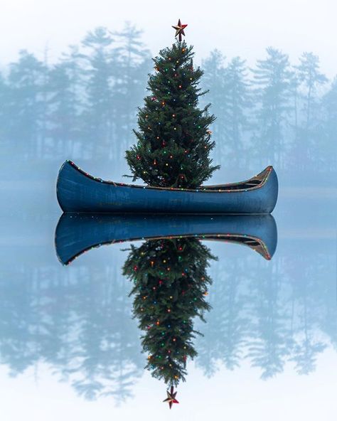 Christmas tree on a canoe Willy Ronis, Indian Lake, Classy Girls Wear Pearls, Have A Happy Holiday, Lake Photography, Winter Photos, Coastal Christmas, Noel Christmas, Blue Christmas