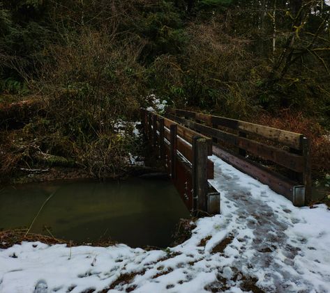 nature, greenery, trees, trail, hiking, explore, adventure, visit oregon, wanderlust, stream, creek, water, snow, frost, frozen, wooden bridge, landscape photography, winter vibes, seasons, muted, earth, moody, aesthetic Pacific Northwest Gothic Aesthetic, Winter Camp Aesthetic, Washington Gothic, Pacific Northwest Gothic, American Gothic Aesthetic, Northern Aesthetic, Landscape Photography Winter, Pacific Northwest Aesthetic, Pnw Winter