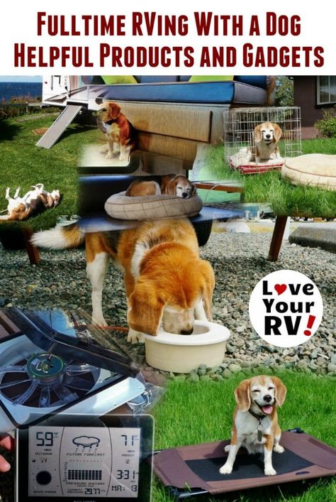 Rv Dog, Travel Trailer Living, Rving Full Time, Rv Camping Checklist, Rv Camping Tips, Camping Gadgets, Rv Makeover, Trailer Living, Rv Living Full Time