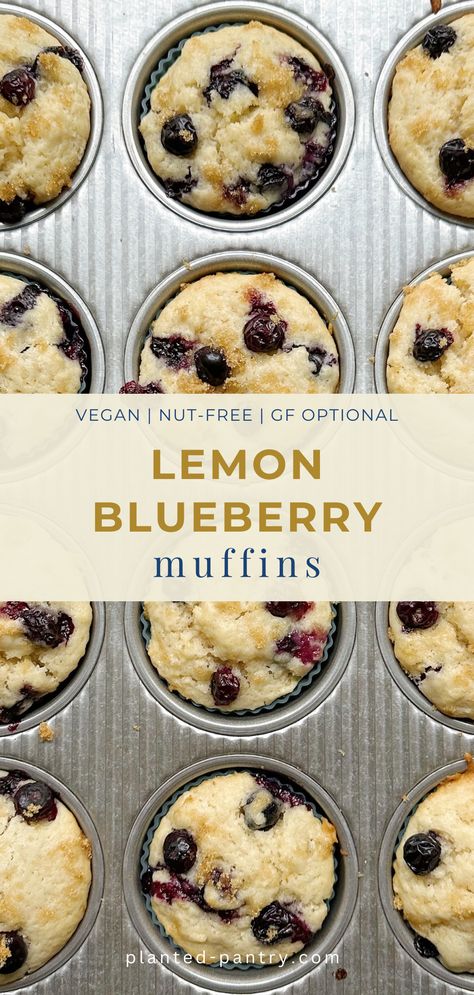 Vegan Lemon Blueberry Muffins Lemon Blueberry Muffins Healthy, Vegan Lemon Blueberry Muffins, Vegan Blueberry Recipes, Lemon Muffins Healthy, Lemon Blueberry Muffins Recipe, Vegan Lemon Bars, Mini Blueberry Muffins, Mini Muffin Recipe, Vegan Blueberry Muffins