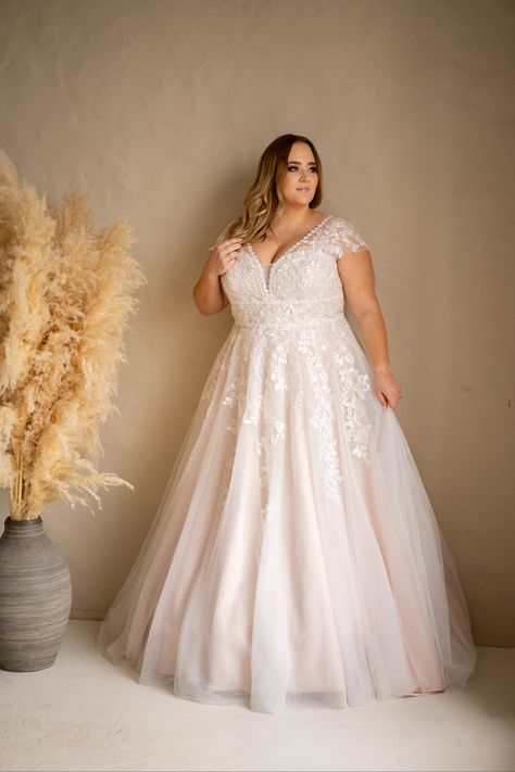 Sunrise Collection - LASABINA Plus Size Bridal Sincerity Bridal Wedding Dresses, Wedding Gatsby, Sincerity Bridal, Starry Night Wedding, Plus Wedding Dresses, Renewal Wedding, Plus Size Bridal, Wedding Ready, Wedding Renewal Vows