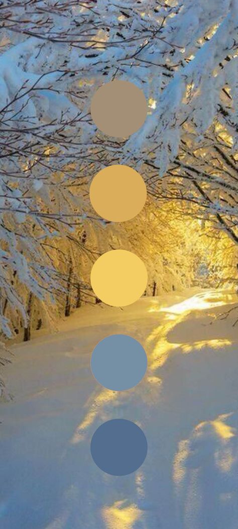 Earthy Summer Color Palette, Winter Solstice Color Palette, Winter Colour Pallete, Colour Palette Winter, Icy Color Palette, Cold Colour Palette, Winter Colors Palette, Cold Color Palette, Winter Colour Palette