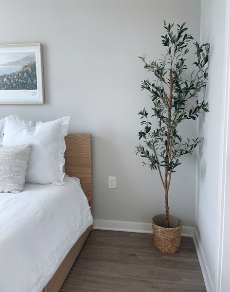 Kazeila Artificial Olive Tree 6FT Tall Faux Silk Plant for Home Office Decor Indoor Fake Potted Tree with Natural Wood Trunk and Lifelike Fruits Bedroom Faux Plants, Olive Tree Indoor Bedroom, Bedroom Artificial Plants Decor, Tall Bedroom Plants, Fake Tree Bedroom, Bedroom Fake Plants, Fake Tree In Bedroom, Faux Tree In Bedroom, Olive Tree In Bedroom