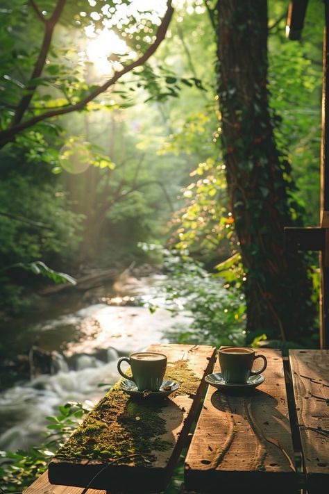 Inspirational Photos Nature, Cabin Breakfast Ideas, Summer Coffee Aesthetic, Cabin Breakfast, Stream Aesthetic, Living In The Forest, Photographs Of Nature, Coffee Nature, Two Cups Of Coffee