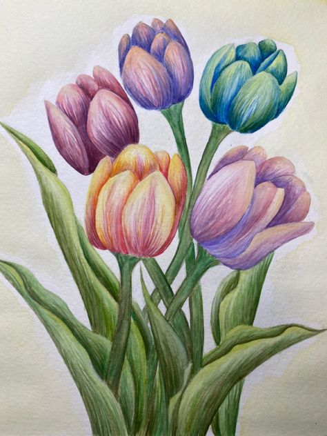 Colored Pencil Flowers Simple, Flower Pot Drawing With Colour, Beautiful Flower Drawings Colour, Coloured Pencil Flowers, Realistic Flower Drawing Color, Flower Drawing Inspiration, Simple Color Pencil Drawing Ideas, Color Pencil Art Drawings Easy, Colored Pencil Drawings Of Flowers