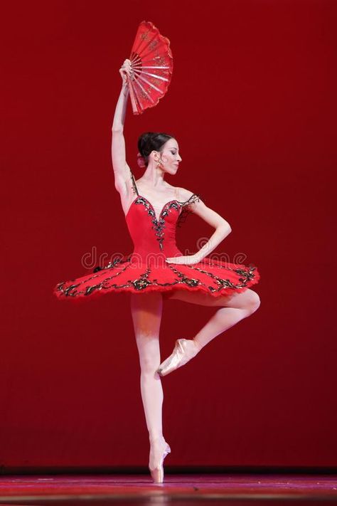 Julie Kent, Famous Ballet Dancers, Svetlana Zakharova, Famous Dancers, Prima Ballerina, Don Quixote, The Ballet, Ballet Dancer, Ballet Dancers