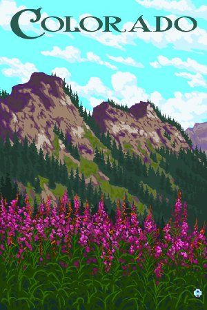 Fireweed and Mountains - Colorado (24x36 Giclee Gallery Print, Wall Decor Travel Poster) Frisco Colorado, Steamboat Springs Colorado, Stylized Art, Whitefish Montana, Colorado Art, Retro Travel Poster, Steamboat Springs, Great Smoky Mountains National Park, Smoky Mountain National Park